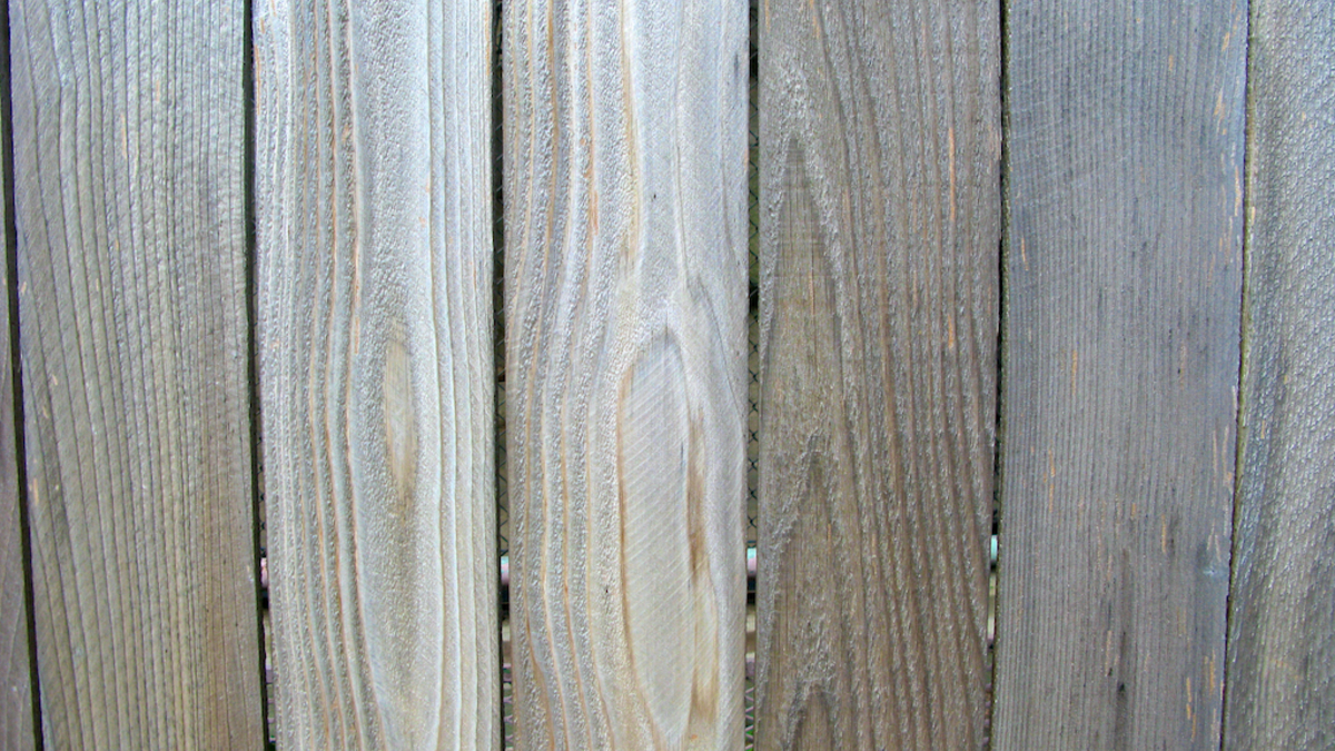 Close-up of weathered timber paling fence boards showing grain and fixings
